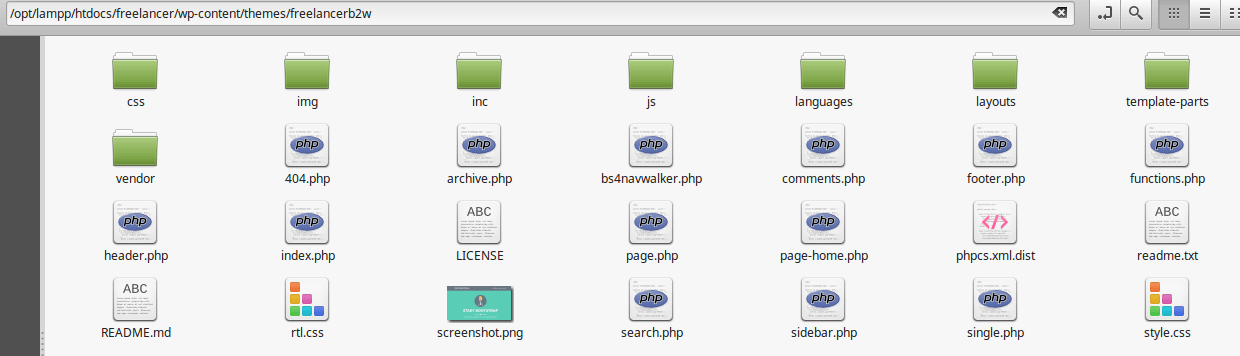 Theme directory copy assets folder