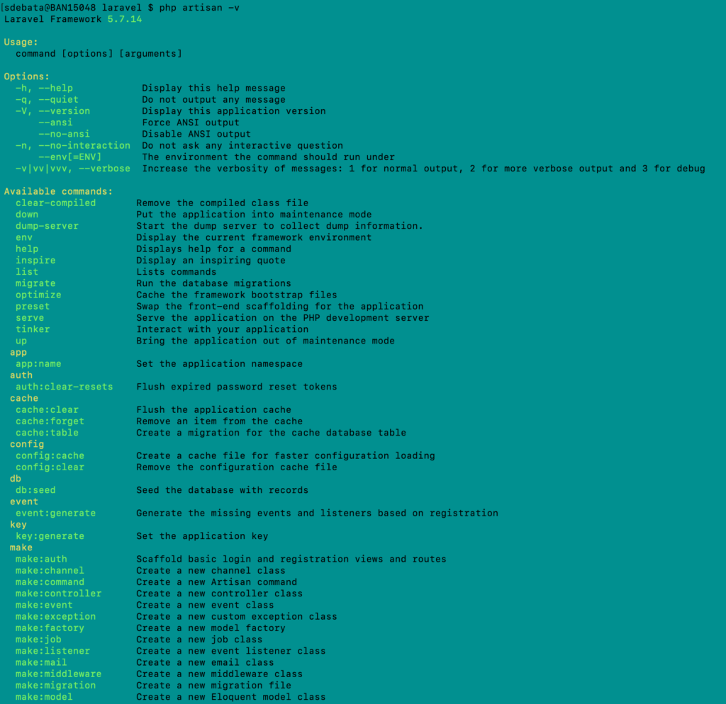 php artisan -v
