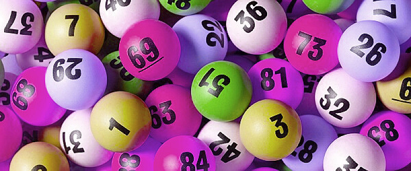 Selecting Random Form Fields in Laravel Dusk