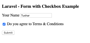 single checkbox form laravel