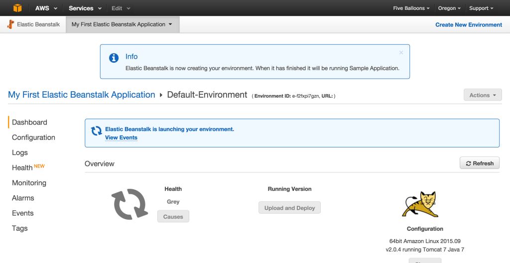 Default Environment Dashboard