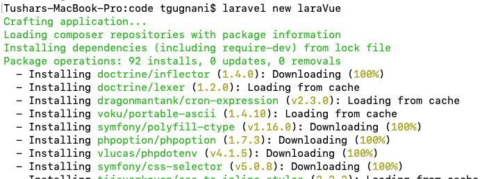 laravel vue new project