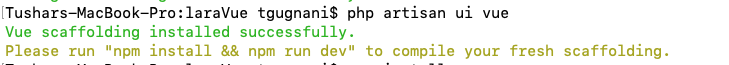 php artisan ui vue