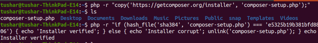 php download composer file