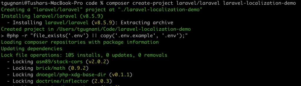 laravel new localization project