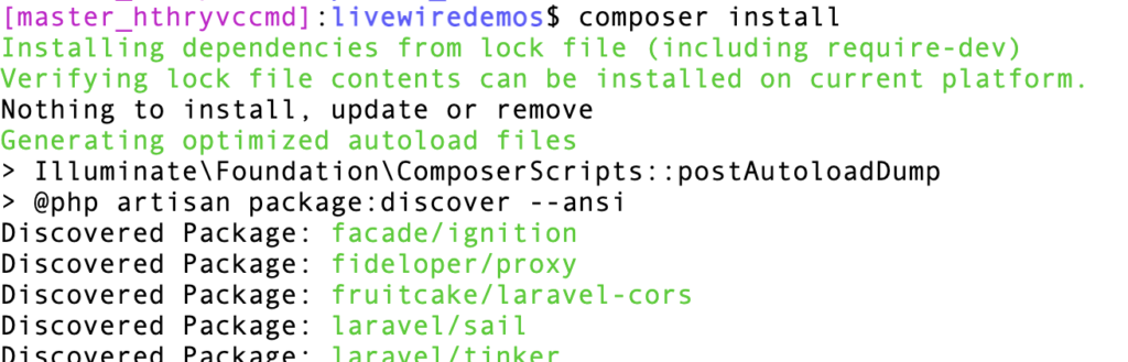 composer install